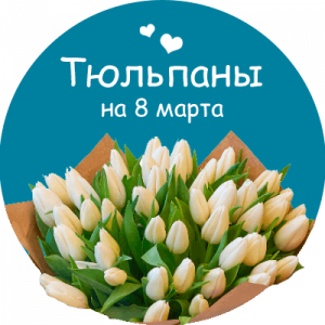 Купить тюльпаны в Щучьем